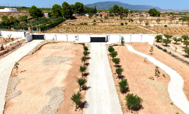 Herverkoop - Detached Villa - Pinoso