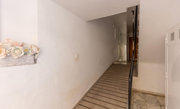 Reventa - Apartment - Torrevieja - Nueva Torrevieja
