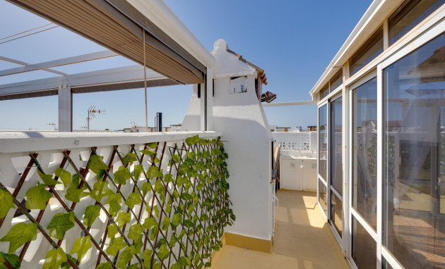 Herverkoop - Apartment - Torrevieja - Zona los Frutales