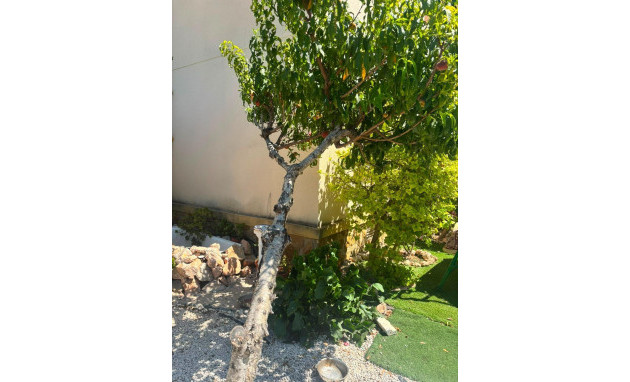 Herverkoop - Bungalow - Gelijkvloers - Orihuela Costa - Lomas de Cabo Roig