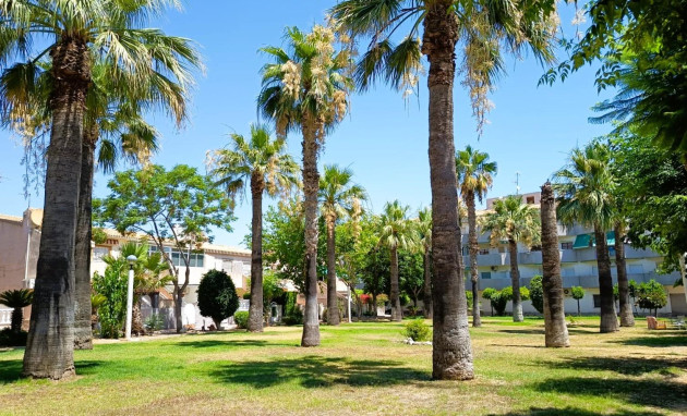 Herverkoop - Bungalow - Gelijkvloers - Orihuela Costa - La Regia
