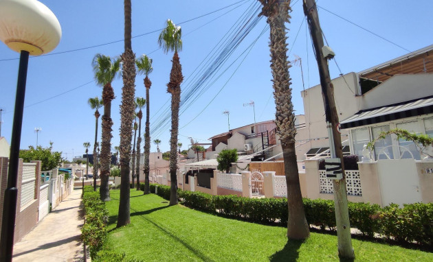 Herverkoop - Bungalow - Gelijkvloers - Torrevieja - Los balcones