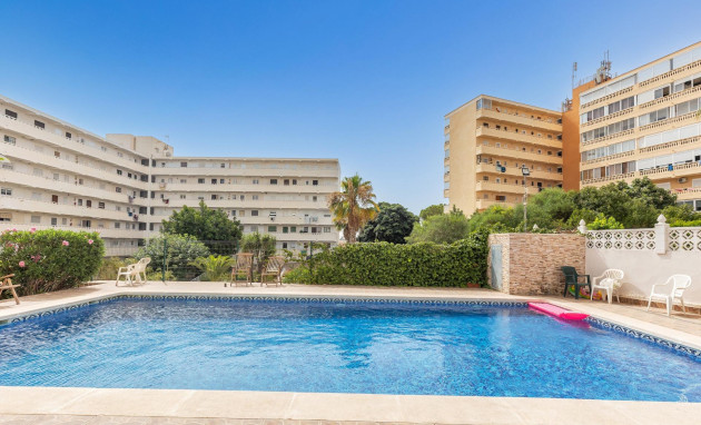 Herverkoop - Studio - Torrevieja - Torreblanca