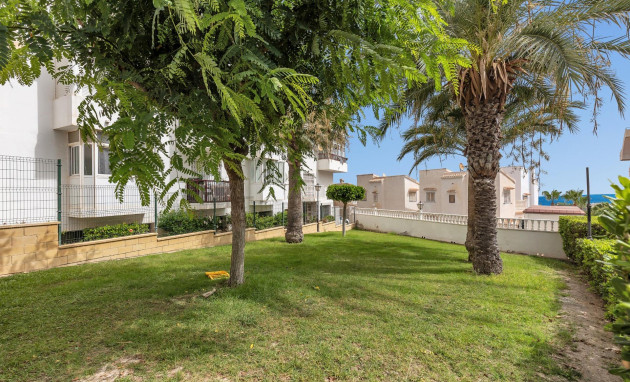 Herverkoop - Studio - Torrevieja - Torreblanca