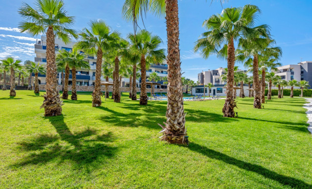 Herverkoop - Appartement - Studio - Orihuela Costa - Los Altos