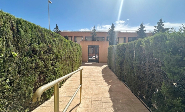 Herverkoop - Apartment - Torrevieja - Playa del cura