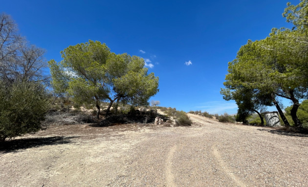 Revente - Country Property - Torremendo