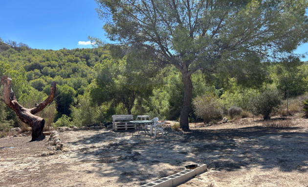 Revente - Country Property - Torremendo