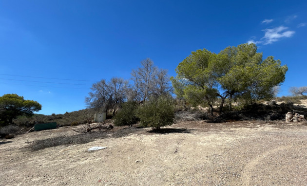 Revente - Country Property - Torremendo