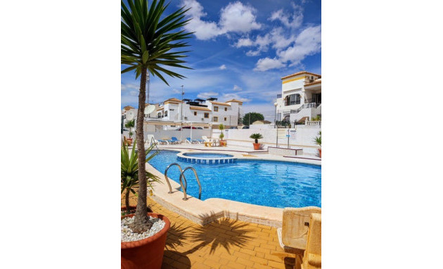 Herverkoop - Apartment - Orihuela - Entre Naranjos Vistabella