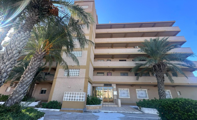 Herverkoop - Studio - Guardamar del Segura - Lomas de Polo-Pinomar
