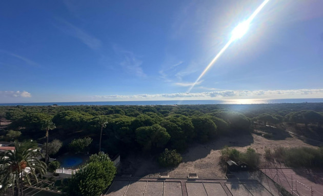 Herverkoop - Studio - Guardamar del Segura - Lomas de Polo-Pinomar