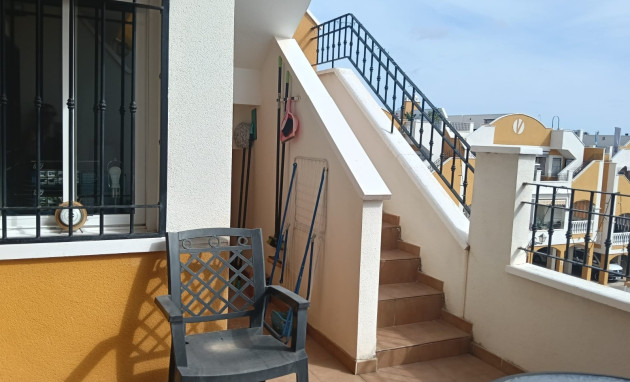 Revente - Appartement - Studio - Los Montesinos - Urbanizacion montesol