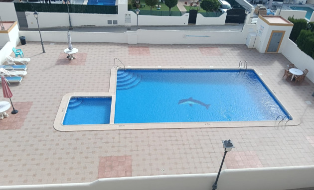 Revente - Appartement - Studio - Los Montesinos - Urbanizacion montesol