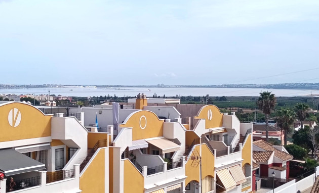 Revente - Appartement - Studio - Los Montesinos - Urbanizacion montesol