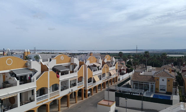 Revente - Appartement - Studio - Los Montesinos - Urbanizacion montesol