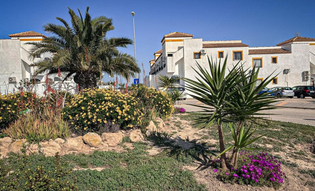 Revente - 1. Apartment / flat - Entre Naranjo - Vistabella Golf - Entre Naranjos Vistabella Golf