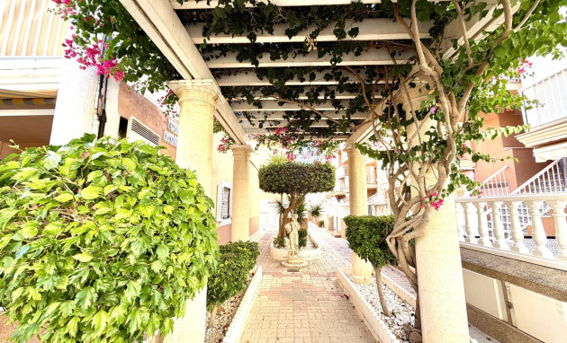 Herverkoop - Apartment - Torrevieja - La Mata pueblo