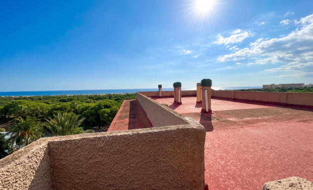 Herverkoop - Studio - Guardamar del Segura - Lomas de Polo-Pinomar