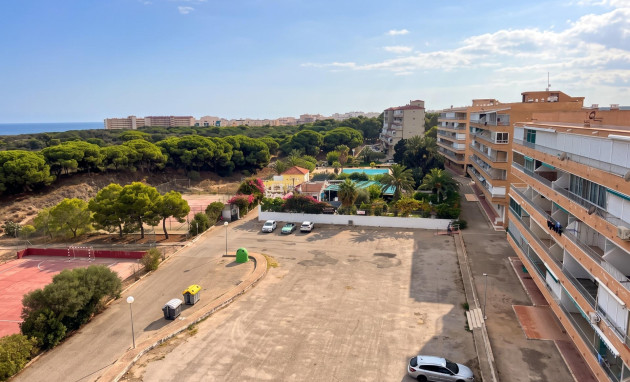 Herverkoop - Studio - Guardamar del Segura - Lomas de Polo-Pinomar