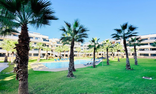 Reventa - Apartamento - Sin dormitorio - Orihuela Costa - Los Altos