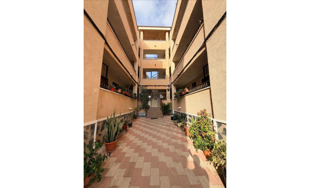 Resale - Studio - Torrevieja - La Siesta - El Salado - Torreta