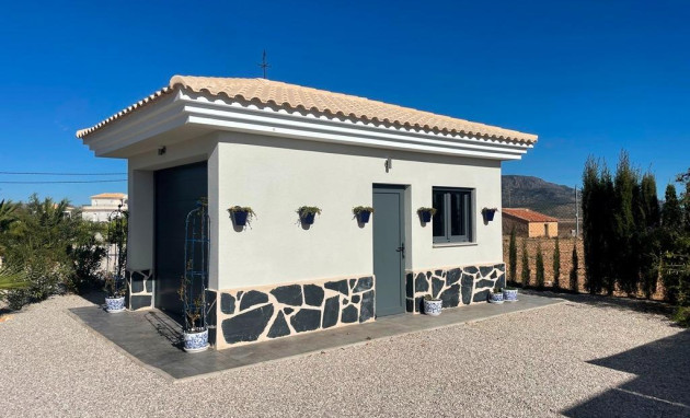 Nouvelle construction - Villa - Pinoso - Camino Del Prado