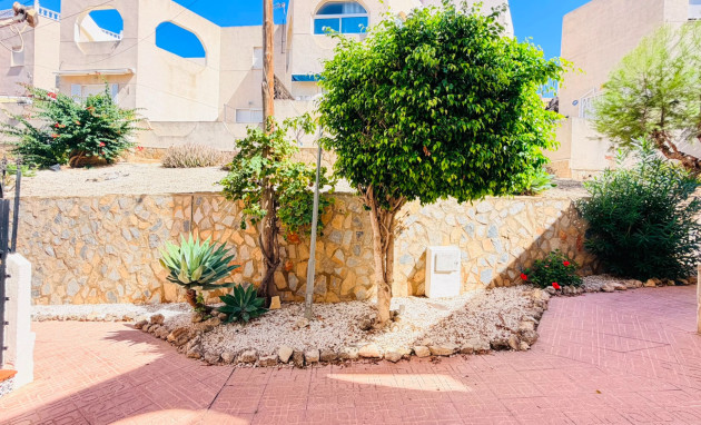 Resale - Apartment - Flat - San Miguel de Salinas
