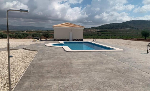 New Build - Villa - Pinoso - Camino Del Prado