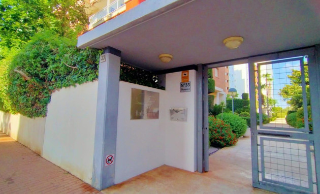 Herverkoop - Apartment - Torrevieja - Playa de los Naufragos