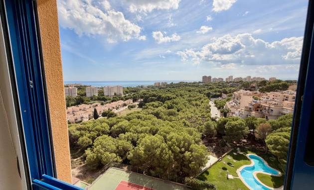 Resale - Duplex - Orihuela Costa - Altos de Campoamor
