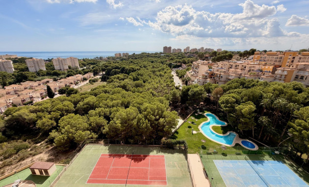 Resale - Duplex - Orihuela Costa - Altos de Campoamor
