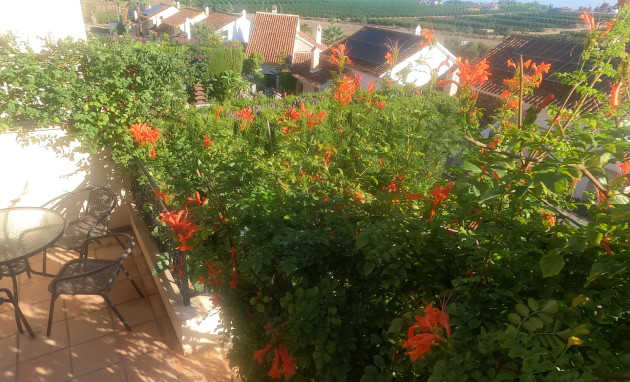 Reventa - Bungalow - Planta Baja - Algorfa - La Finca Golf