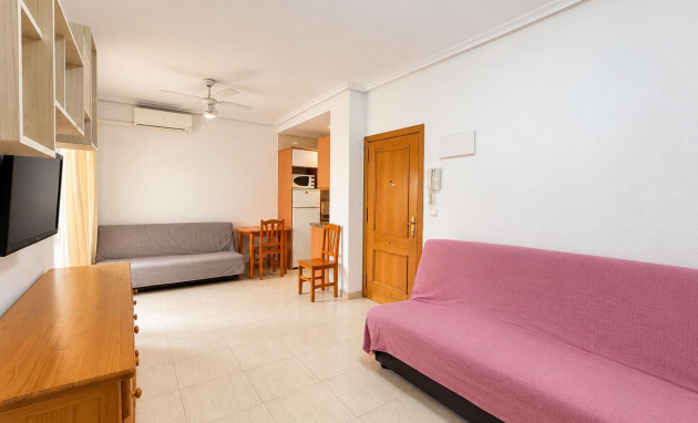Reventa - Studio - Torrevieja - Estacion de autobuses