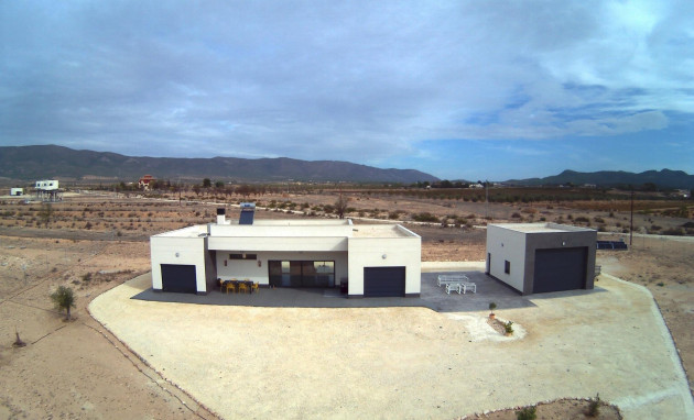 Nouvelle construction - Villa - Pinoso - Camino Del Prado