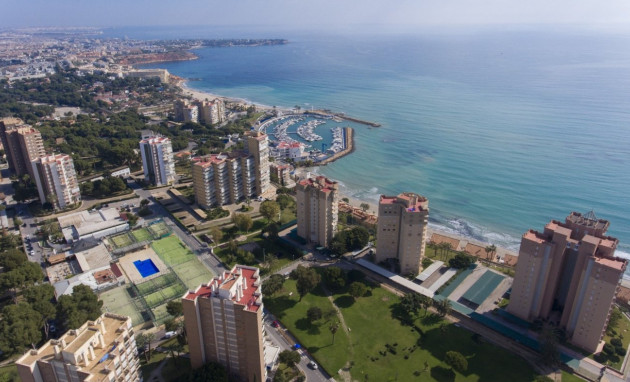 Obra nueva - Ático - Orihuela Costa - Campoamor