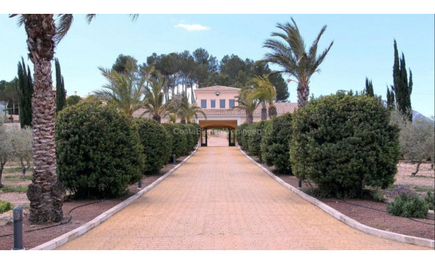 Revente - Villa - Penàguila