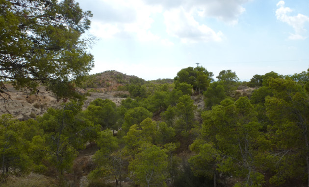 Resale - Plot of Land - Crevillente - Crevillente - Country