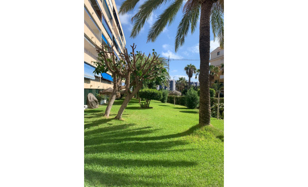 Herverkoop - Apartment - Orihuela Costa - Punta Prima