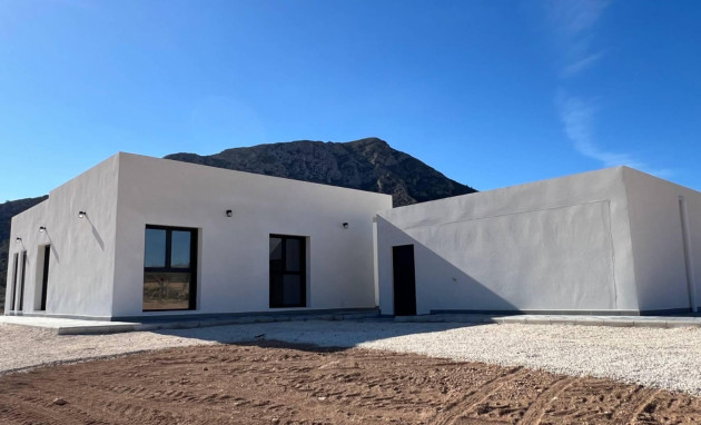 Obra nueva - Villa - Jumilla - Torre del Rico