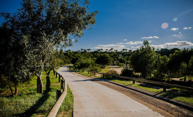 Obra nueva - Villa - Rojales - Doña Pena